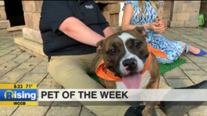 Pet Of The Week
