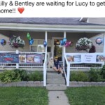 Lucywelcomehome
