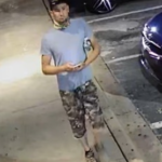 Sexual Assault Suspect