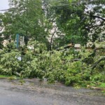 Hickory Storm Damage Pic 3