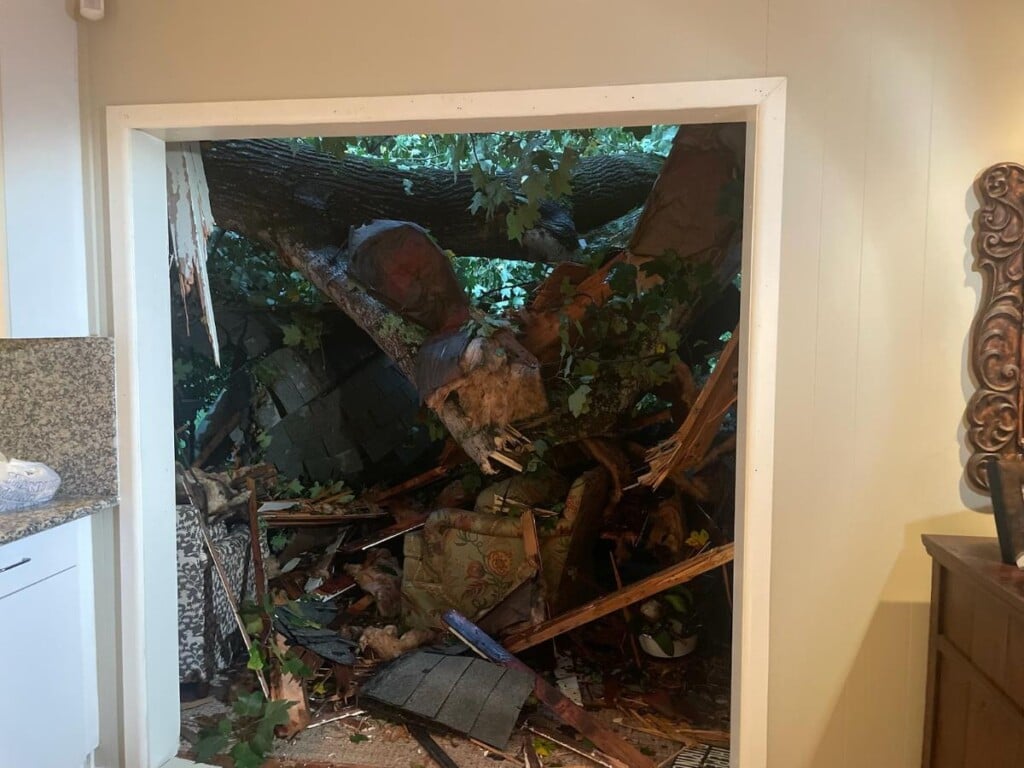 Tree destroys sunroom in south Charlotte