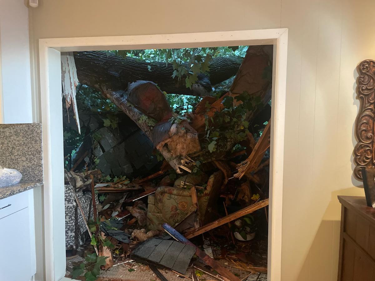Strong Storms Leave Behind Widespread Damage Across The Carolinas ...
