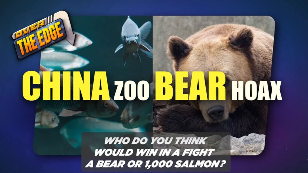 China Bear S1e1