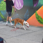 Dsc 0064