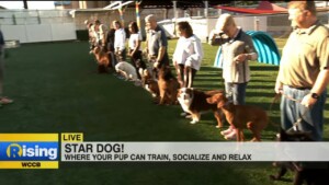 Lauren Live At Star Dog Charlotte