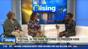 Festival In The Park Preview