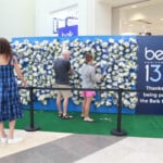 Br4v1357