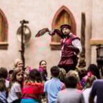 Falconry Photo Flying Bird