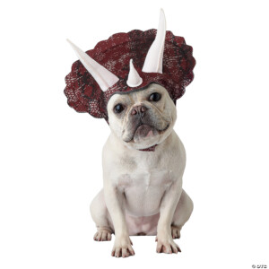 Animal Planet Triceratops Dog Costume