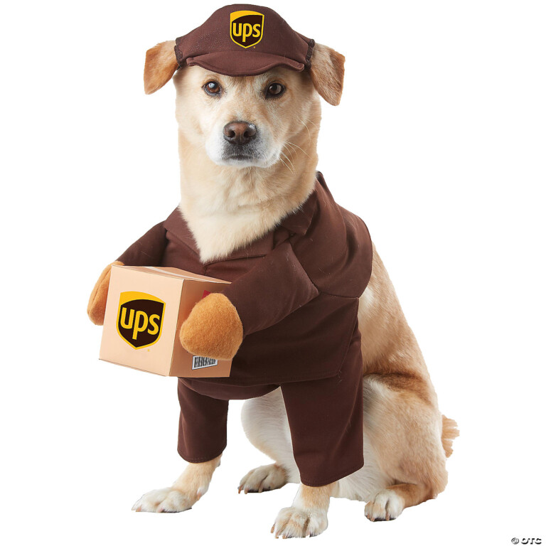 UPS Pal Dog Costume WCCB Charlotte's CW