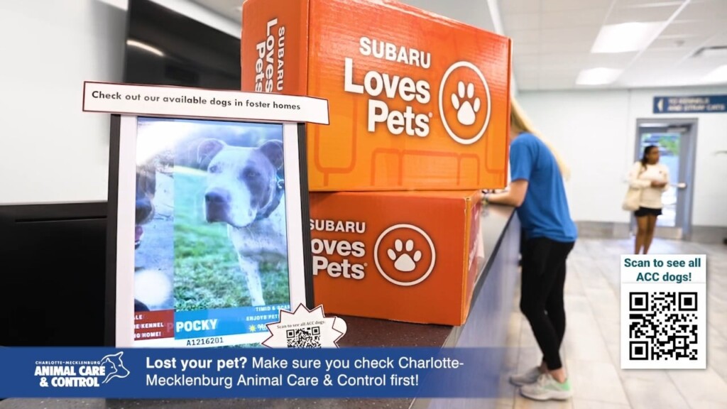 Carolina Insight: Charlotte Mecklenburg Animal Care & Control + Subaru Loves Pets