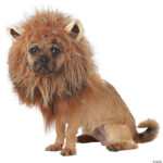 King Of The Jungle Dog Costume