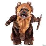 Star Wars Ewok