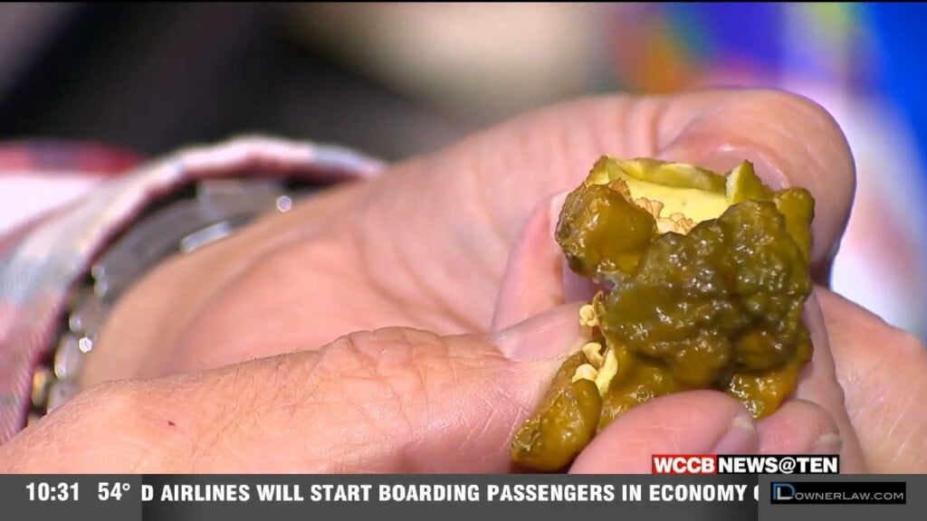 Fort Mill Company Awarded Guinness World Record For Hottest Pepper