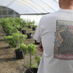 World's Hottest Pepper