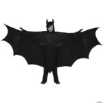 Kids Wicked Wing Bat Costume