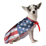 Usa Flag Cape Dog Costume