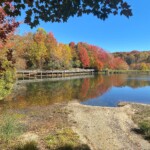 Beech Mountain Tourism