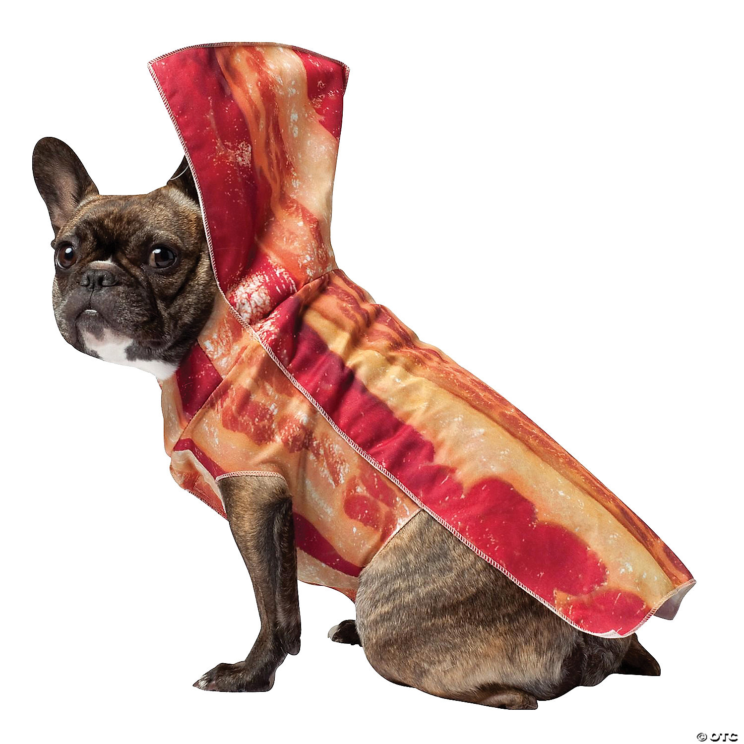 Bacon Dog Costume WCCB Charlotte's CW