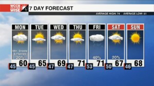 Watching For Mountain Flakes