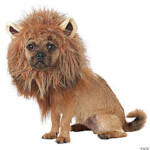 King Of The Jungle Dog Costume Mediumccpet20166md