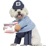 Us Mail Carrier Dog Costumeccpet20170sm