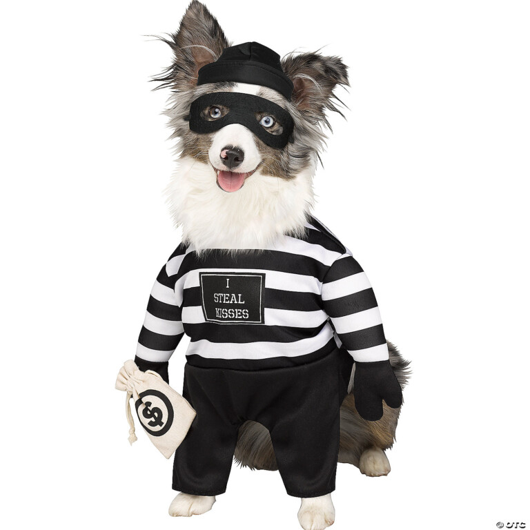 Robber Pup Pet Dog Costume Small WCCB Charlotte's CW
