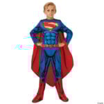 Girls Tutu Wonder Woman Costume