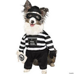 Robber Pup Dog Costumefw98054sm