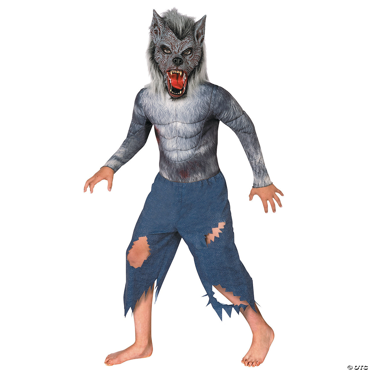 Boy's Werewolf Costume WCCB Charlotte's CW