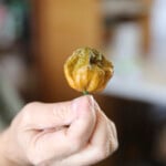World's Hottest Pepper