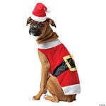 Santa Dog Costumegc5027lg