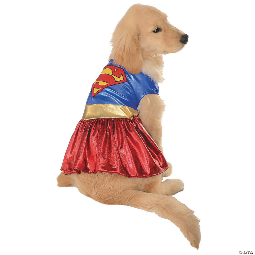 Supergirl Dog Costume WCCB Charlotte's CW