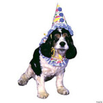 Dress Up Pet Costumefw9000cl