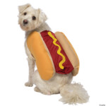 Hot Dog Pet Costume