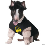 Dj Master Dog Costume