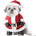 Santa Paws Dog Costume Largecc20131lg