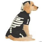 Glow In The Dark Skeleton Dog Costume