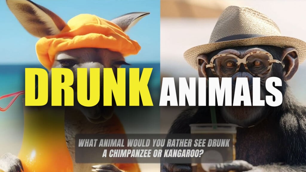 Drunk Animals