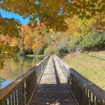Beech Mountain Tourism