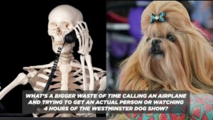 What's A Bigger Waste Of Time Calling An Airplane And Trying To Get An Acutal Person Or Watching 4 Hours Of The Westminster Dog Show?
