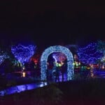 Dsc 0818