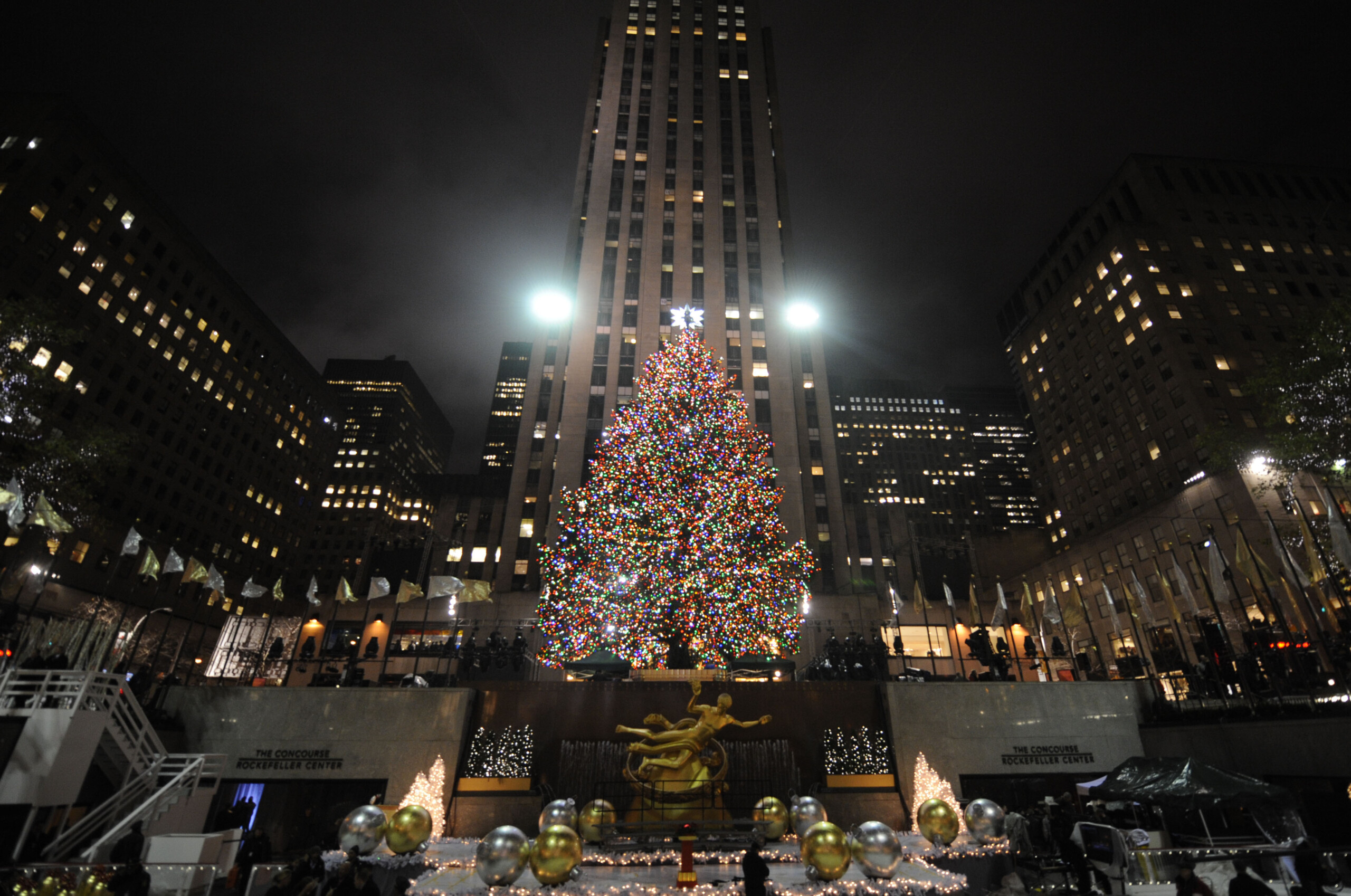 Rockefeller Center tree 2023: This year's pick is from Binghamton area