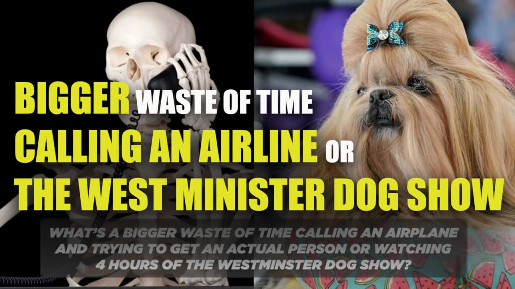 Bigger Waste Of Time