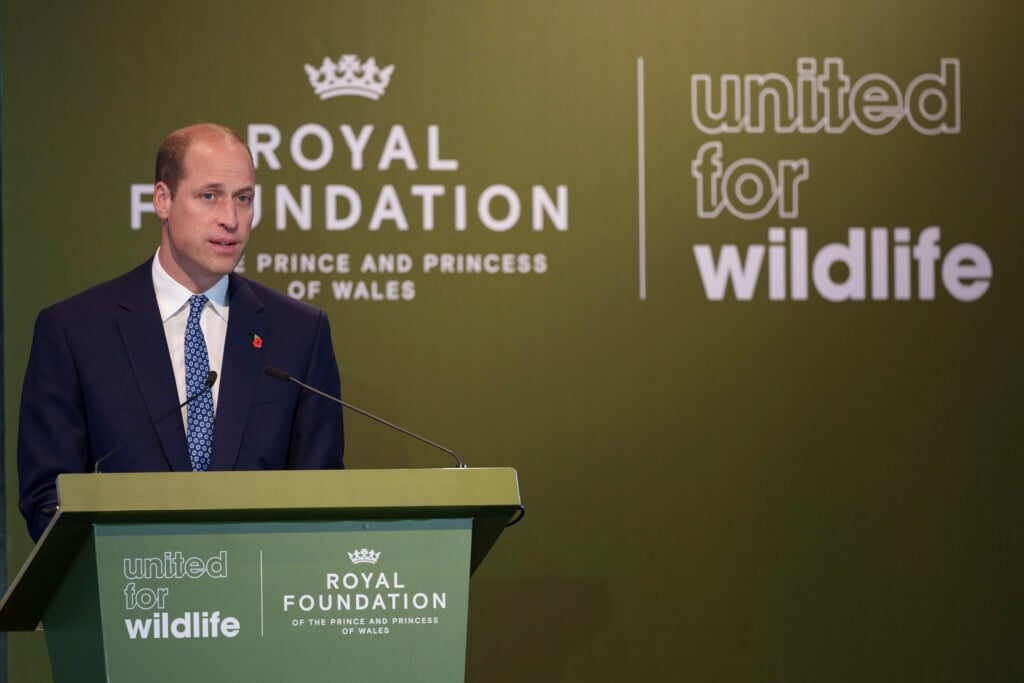 Singapore Prince William