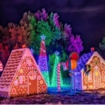 Carolina Holiday Lights 5 1