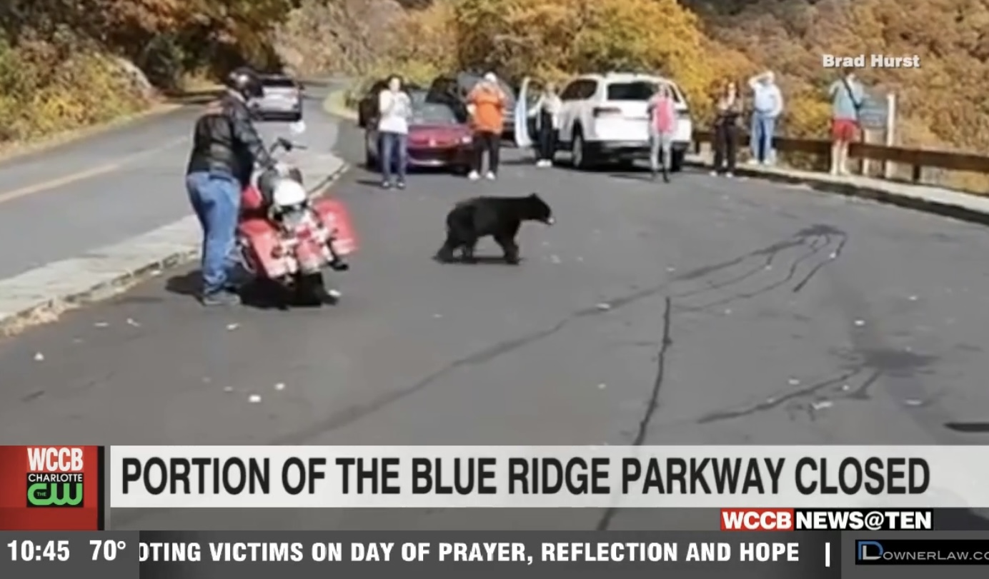 A Section Of The Blue Ridge Parkway Is Closed After Visitors Allegedly
