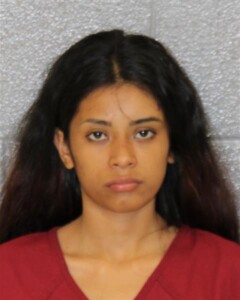 Dayana Guzman Possess Stolen Vehicle