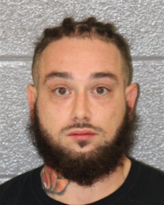 Brandon Leonard Dv Protective Order Violation