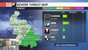 Daily Forecast 12 08 2023